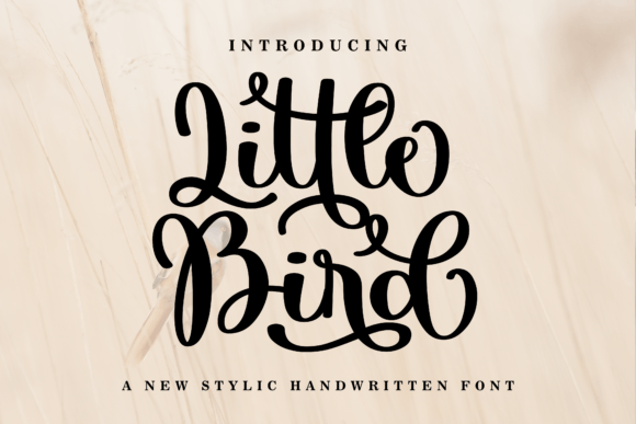 Little Bird: A Creative Font for Crafters and Product Labels